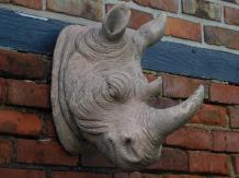 images/productimages/small/neushoorn-hoofd-polystone-tz-9811.jpg