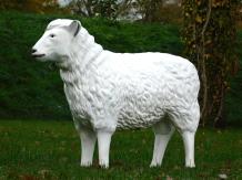 Schaap - 80 cm - Polystone - Tuinbeeld - Dierenbeeld