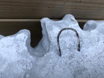 Wandornament steen, vogelbad met 3 kikkers