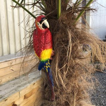 Rode papegaai, gietijzer, tuinbeeld / dieren sculptuur