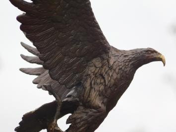 Bronzen beeld adelaar, 51 cm hoog, dierensculptuur op marmeren voet