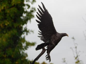 Bronzen beeld adelaar, 51 cm hoog, dierensculptuur op marmeren voet