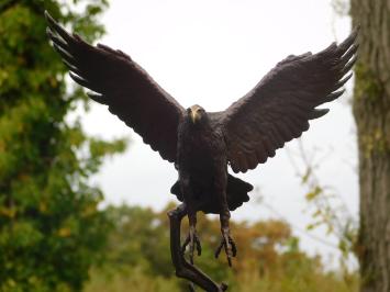 Bronzen beeld adelaar, 51 cm hoog, dierensculptuur op marmeren voet