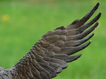 Bronzen beeld adelaar, 51 cm hoog, dierensculptuur op marmeren voet