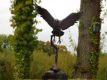 Bronzen beeld adelaar, 51 cm hoog, dierensculptuur op marmeren voet