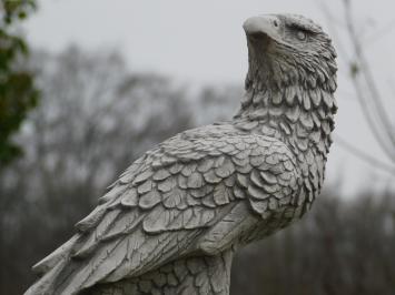 Tuinbeeld adelaar, steen, roofvogel, tuinsculptuur