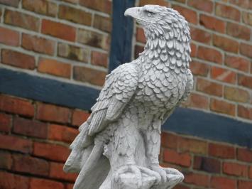 Tuinbeeld adelaar, steen, roofvogel, tuinsculptuur