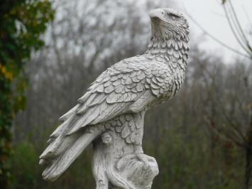 Tuinbeeld adelaar, steen, roofvogel, tuinsculptuur