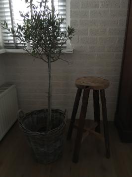 Koloniaals hardhouten tafel, exclusief meubel