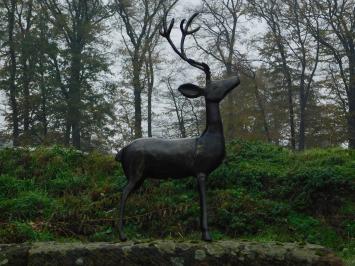 Gartenstatue Hirsch, Statue für drinnen und draußen, Tierstatue