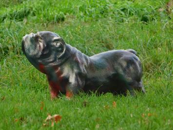 Beeld Bulldog, tuinbeeld / dierenbeeld, polystone