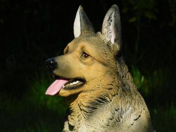 Tuinbeeld Duitse Herder, beeld hond, in detail, polystone