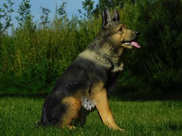 Tuinbeeld Duitse Herder, beeld hond, in detail, polystone