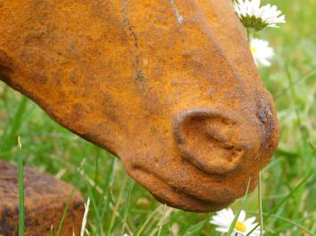 Paardenhoofd beeld, tuinbeeld paard, gietijzer, rustiek