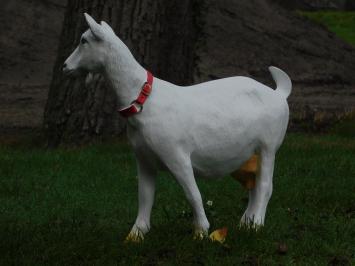 Tuinbeeld geit, dierenbeeld van kunststof, tuindeco