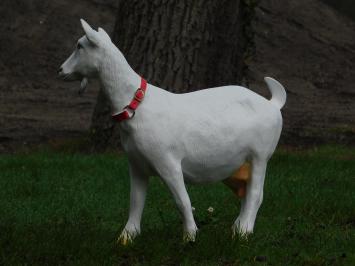 Tuinbeeld geit, dierenbeeld van kunststof, tuindeco