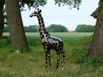 Beeld Giraffe, levensgroot, groot dierenbeeld, kunststof