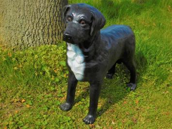 Prachtige 'Labrador Retriever' zwart - van Polystone