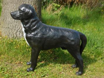 Prachtige 'Labrador Retriever' zwart - van Polystone