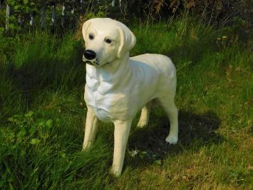 Prachtige 'Golden Retriever' - van Polystone