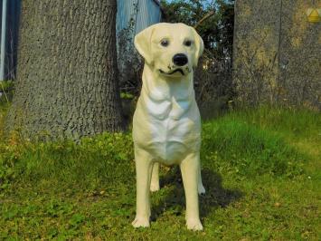 Prachtige 'Golden Retriever' - van Polystone