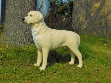 Prachtige 'Golden Retriever' - van Polystone