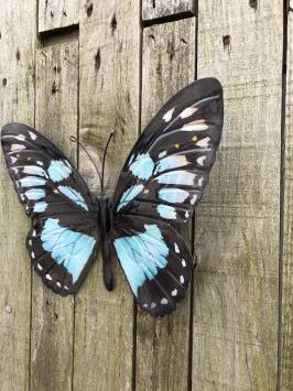 Metalen wanddecoratie - vlinder - in kleur - blauw en zwart