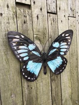 Metalen wanddecoratie - vlinder - in kleur - blauw en zwart