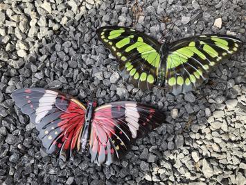 Metalen vlinders - in kleur - groen/rood - wanddecoratie