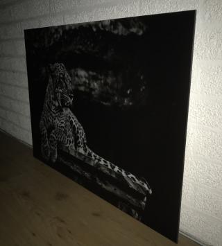 Kunst auf Glas von einem liegenden Leoparden / Panther