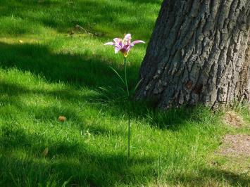 Metalen lelie - tuindecoratie - roze