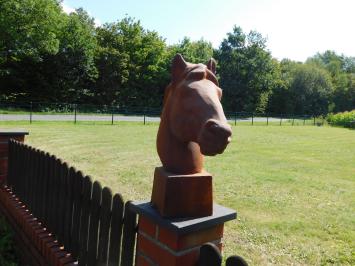 Prachtig fors paardenhoofd gietijzer, onbehandeld