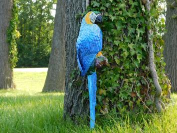 Papegaai beeld, wanddecoratie, groot tuinbeeld, kleurrijk