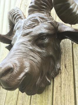 Metalen wanddecoratie - kop van ram - zwaar - bruin