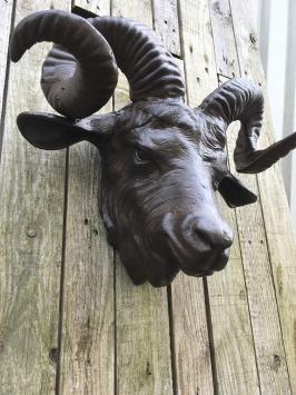 Metalen wanddecoratie - kop van ram - zwaar - bruin