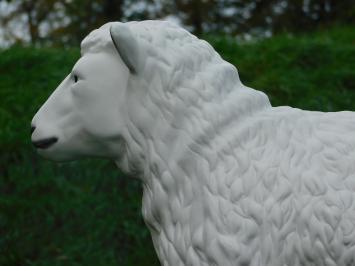 Schaap - 80 cm - Polystone