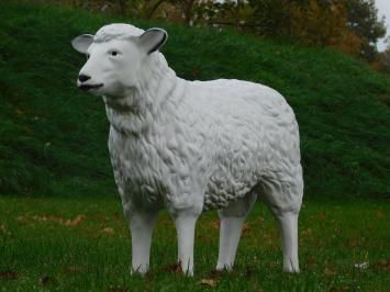 Schaap - 80 cm - Polystone