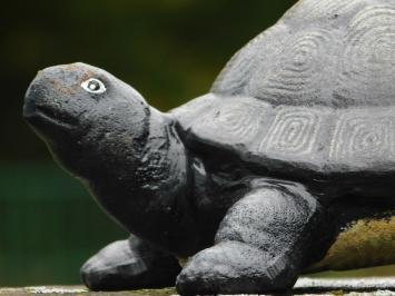 Schildpad bronslook, massief gietijzer, mooi!