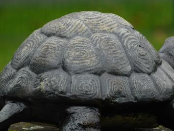 Schildpad bronslook, massief gietijzer, mooi!