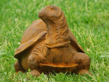 Tuinbeeld schildpad, gietijzer, groot beeld in detail