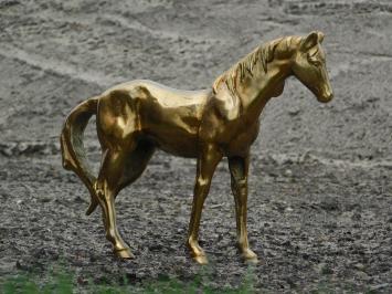 Paard sculptuur, beeld, goud kleurig, verzamelbeeldje paarden