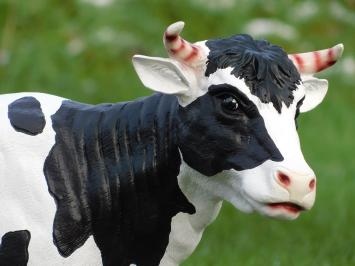 Set van 2 Koeien - Polystone - Gedetailleerd - Dierenbeelden