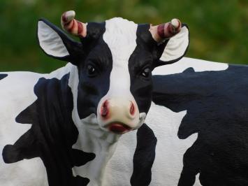 Set van 2 Koeien - Polystone - Gedetailleerd - Dierenbeelden