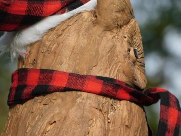 Kerstmis Uil op Boomstronk, Polystone, Woodlook