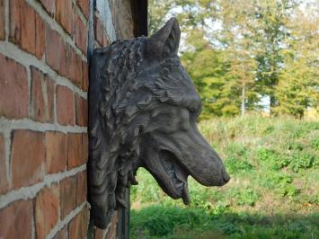 Grote wolvenkop, zeer mooi in uitdrukking, polystein